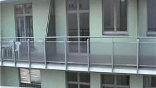 A beaver on the roof - porn video