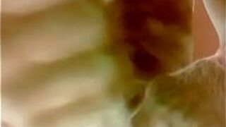 Technicolor jerk off - porn video